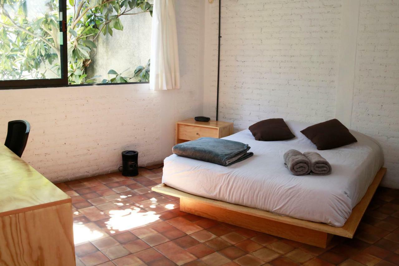 Coyoacan Lofts Mexico City