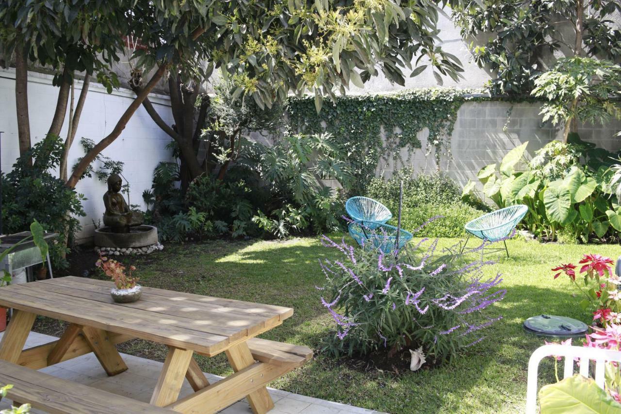 Coyoacan Lofts Apartment